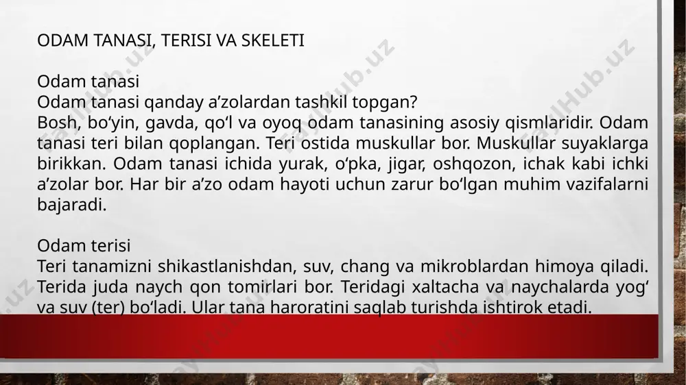 taqdimot raxmatova sh - Page 5