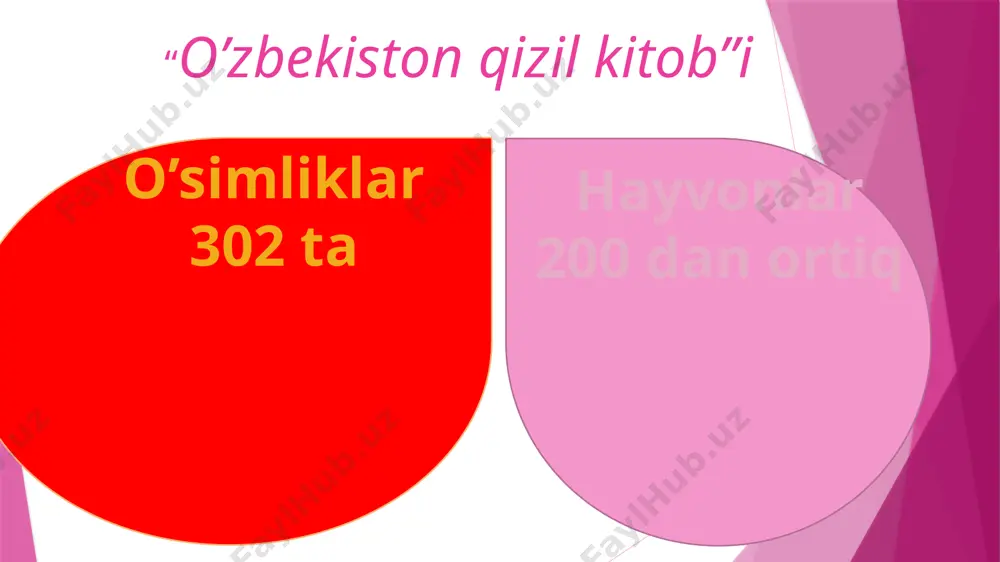 prezentatsiya microsoft powerpoint - Page 5