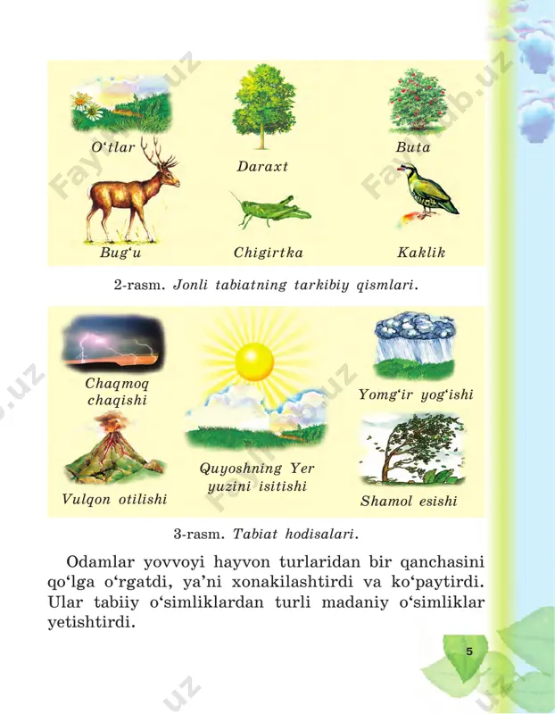 bo‘lmaydi. suvning xususiyatlari xavfsizlik qoidalariga rioya qilgan holda quyidagi tajribalarni o‘tkazing. 1-tajriba. kolba olib, uni suv bilan to‘ldiring. uning og‘ziga shisha nay o‘rnating. kolbadagi suvni quruq yoqilg‘i yordamida asta-sekin isiting. bunda kolbadagi suv isigan sari nay ichidagi suv yuqoriga ko‘tarila boradi (11-rasm). demak, suv isiganda kengayadi. shuning uchun choygumga to‘ldirib quyilgan suv isiganda kengayadi va toshadi (12-rasm). 2-tajriba. suv to‘ldirilgan kolba og‘ziga shisha nay o‘rnating. suv nayni to‘ldirib tursin. avvaldan muz- latkichga qo‘yilgan ho‘l lattani olib, kolbani o‘rang. bunda kolba soviydi. kolba sovigan sari naydagi suv pasaya boradi (13-rasm). demak, suv soviganda zichlashadi va torayadi. 13 3-tajriba. muzlatkichdan olingan muzni stakanga soling. termometrni stakan ichiga tushiring. xona issiq bo‘lgani uchun muz eriy boshlaydi. stakandagi muz erib, suvga aylanib bo‘lgunga qadar termometr 0 °c ni ko‘rsatib turadi (14-rasm). demak, muz 0 °c da eriydi, ya’ni suv 0 °c da qattiq holatdan suyuq holatga o‘tadi. 4-tajriba. kolbaga suv quyib, uning ichiga termo- …