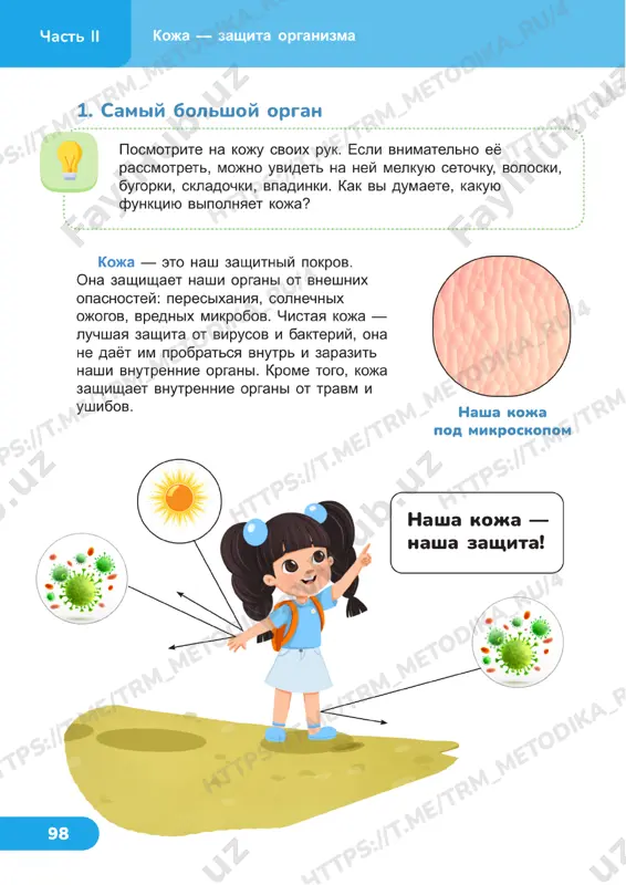 estestvoznanie 4 klass uroki 23_24 - Page 5