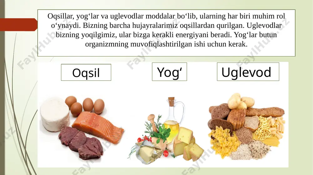 4-sinf. ovqat hazm qilish tizimi.absatova guzal - Page 5