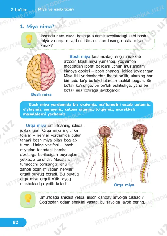 4 sinf tabiiy fan darslik 19-20 dars - Page 5