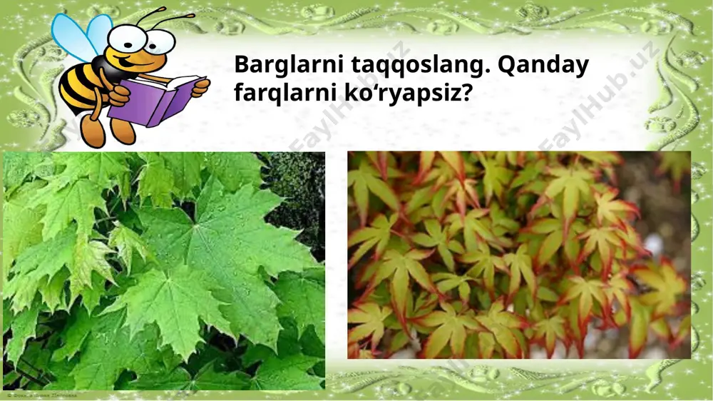 53- dars yashsh joyi takrorlash.tabiiy fan 2- sinf - Page 5