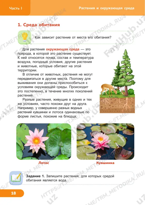 hen visokoy vlajnosti. kroni derevev yavlyayutsya dlya nix krishey, kotoraya ne dayot isparyatsya vode. chasto rasteniya v nijnem yaruse imeyut yarkie i aromatnie tsveti. tak oni privlekayut nasekomix dlya opileniya. v tropicheskix lesax rastyot mnogo lian — vyushixsya i polzushix rasteniy. oni obvivayut drugie derevya i za schyot nix podnimayutsya visoko v nebo. tam, na solnechnom svete, u nix poyavlyaetsya listva i tsveti. chtobi dostich solnechnogo sveta, liani oputivayut drugie rasteniya usikami, kolyuchkami ili prisoskami. rasteniya i okrujayushaya sreda 3. vlajniy klimat pochemu takie rasteniya kak liani rastut, v osnovnom, vo vlajnix lesax? listya tropicheskix derevevtropicheskiy les ht tp s: //t .m e/ tr m_m et od ik a_ ru /4 tp s: //t .m e/ tr m_m et od ik a_ ru /7 ht tp s: //t .m e/ tr m_m et od ik a_ ru /4 tp s: //t .m e/ tr m_m et od ik a_ ru …