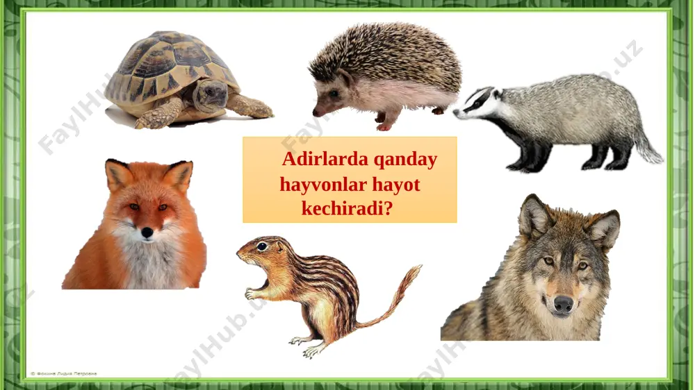 68 bet. 4 tabiatshunoslio'lkamiz tog'lari - Page 5
