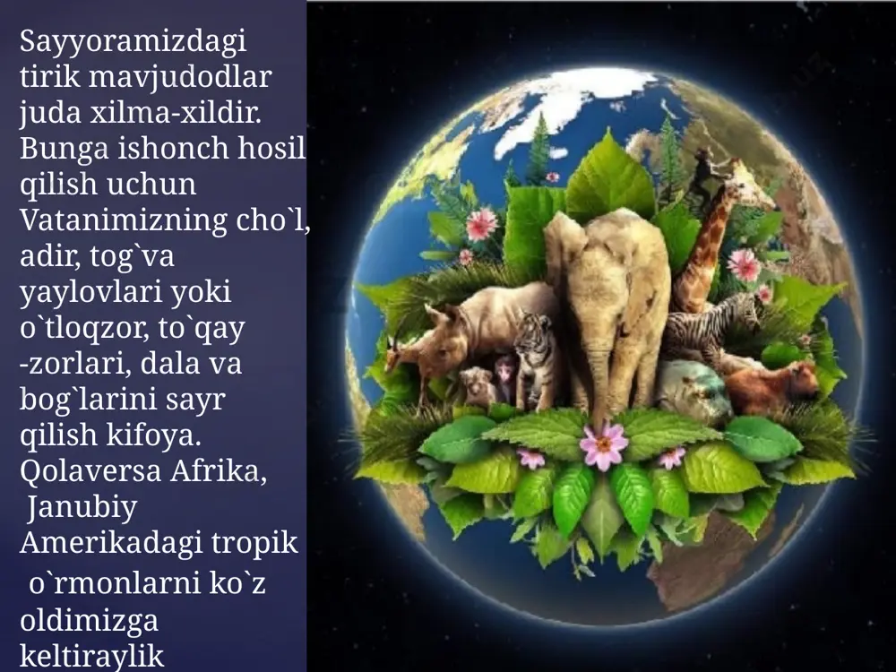 4_sinf_tabiatshunoslik_26_dars_,,tirik_organizmlarning_xususiyatlari - Page 5