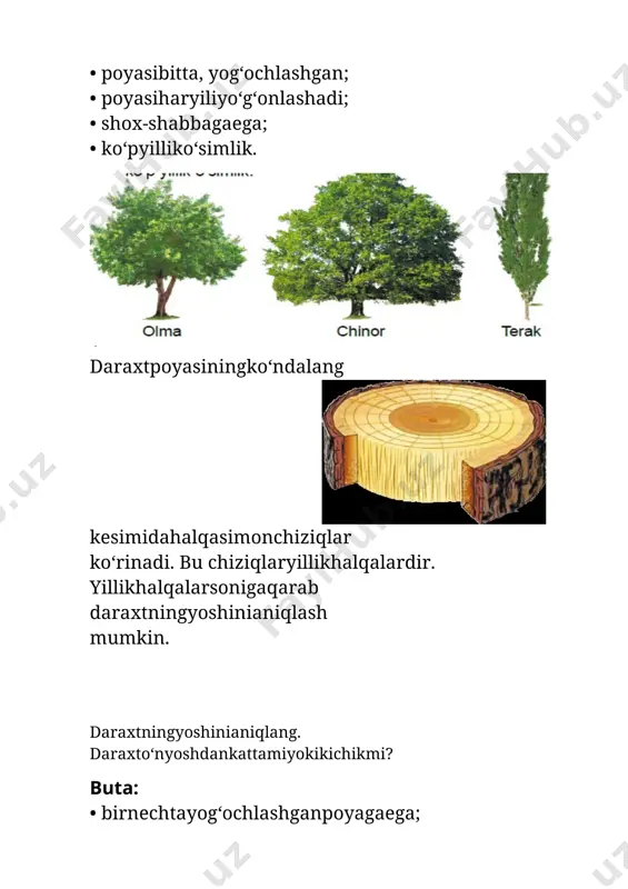 2 sinf tabiiy o'simliklarning xilma xilligi 1-chorak - Page 5