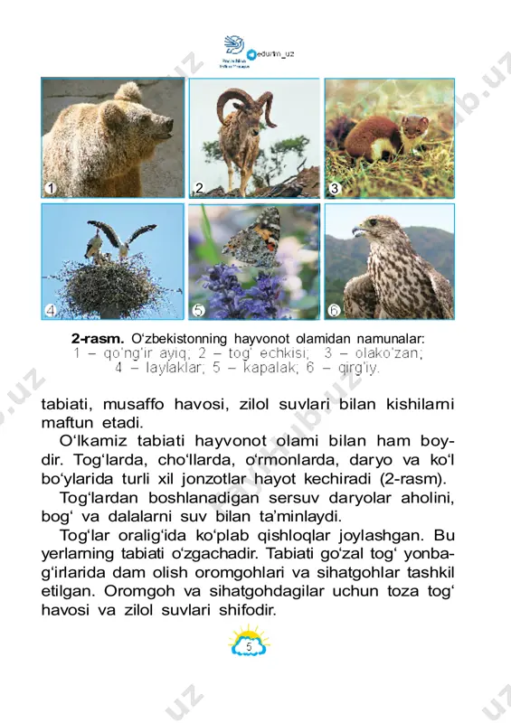 to‘xtab qolar edi. xullas, hamma yoqni vahimali qorong‘ilik bosib, qahra- ton sovuq egallar edi. quyosh yorug‘ligisiz o‘simliklar ham o‘smasdi, hayvonlar ham yashay olmasdi. meva- sabzavotlar, oziq-ovqatlar ham bo‘lmasdi. shuning uchun ham aytish mumkinki, quyosh – yerdagi hayot manbayidir. yulduz, osmon jismi, rasadxona, quyosh. 1. yulduz nima? 2. yulduzlar bir-biridan qanday farq qiladi? 3. nima uchun «quyosh – eng yaqin yulduz» deyiladi? 4. quyoshning diametri va massasini yer shariniki bilan taqqoslang. 5. nima uchun «quyosh – yerdagi hayot man- bayi» deyiladi? 12 sayyoralar quyosh atrofida sayyoralar, kometalar, meteorlar va boshqa osmon jismlari aylanib quyosh sis- temasini 6-rasm. quyosh sistemasidagi sayyoralar. tunlari ba’zida xira «yulduz»ning boshqa yulduz- lar orasida siljiyotganini, ya’ni sayr qilib yurganini payqash mumkin. bunday osmon jismi aslida yulduz emas, balki sayyoradir. 13 sayyoralar sayyoralar o‘zidan nur chiqarmaydi. biz sayyora- lardan qaytayotgan quyosh nurlarini ko‘ramiz, xolos. merkuriy, venera, yer, mars, yupiter, saturn, uran va neptun. har bir sayyora o‘z orbitasiga …