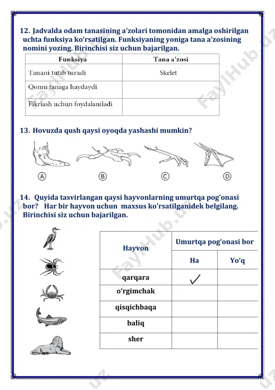 tayyor timss dildora - Page 5