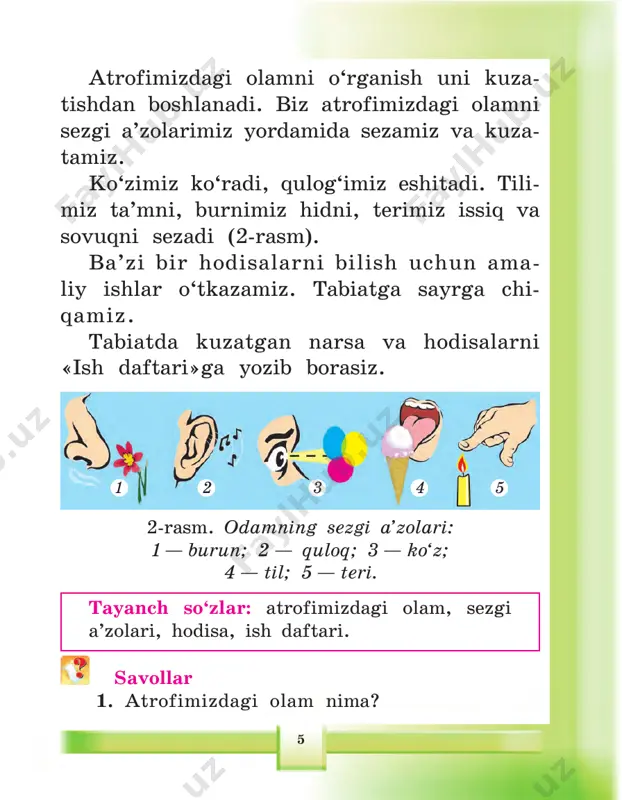 di. mevalar qishga saqlab qo‘yilishi uchun, avval daraxtlardan bittalab terib olinadi (12-rasm). so‘ngra saralanib, yashiklarga ehtiyot- korlik bilan joylanadi va salqin omborxo- nalarga taxlab qo‘yiladi. paxta juda ko‘p mehnat talab qiladigan ekin. paxtani uvol qilmay yig‘ib-terib olish zarur (13-rasm). 11-rasm. qovun va tarvuz polizida 19 ko‘pgina sabzavot ekinlari yerdan kovlab olinib, tozalanadi. ular maxsus omborxonalarda saqlanadi. kartoshka, sabzi, turp, sholg‘omni maxsus o‘ralarda ham saqlash mumkin. ekinlar yig‘ib olingach, yer shudgorla- nadi. òayanch so‘zlar: kuz oylari, bog‘, paxta, poliz ekinlari, sabzavotlar, shudgor. savollar 1. kuz fasli qaysi oylardan iborat? 2. kuzda qaysi mevalar pishadi? 3. nima uchun mevalarni saqlab qo‘yamiz? 12-rasm. bog‘da mevalarni terib olish 20 òopshiriq «ish daftari»ngizga quyidagi jadvalni chizing va mevalar tagiga mevalar, poliz ekinlari tagiga poliz ekinlari, sabzavotlar tagiga esa sabzavotlar nomini yozib qo‘ying. 13-rasm. mashinada paxta terish ralavem ralavem ralavem ralavem ralavem iralnikezilop iralnikezilop iralnikezilop iralnikezilop iralnikezilop raltovazbas raltovazbas raltovazbas raltovazbas raltovazbas 21 6-§. ijòimoiy foydali …