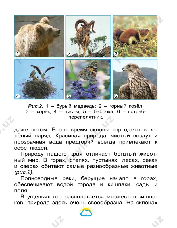 nas solntse, dopustim, chto sverxskorostnaya raketa, imeyushaya skorost 12 km za sekundu, startovala s zemli v storonu solntsa. pri takoy skorosti ona dostigla bi solntsa za 5 mesyatsev (ris.5). predstavte, chto myach – eto zemnoy shar. vichis- lite priblizitelniy razmer solntsa po otno- sheniyu k myachu. ris.5. raketa mojet dostich solntsa za 5 mesyatsev. dostignet za 5 mesyatsev solntse 150 000 000 km zemlya 11 ? solntse – istochnik jizni na zemle solntse neprerivno osveshaet beskonechniy mir. do zemli doxodit lish chast solnechnix luchey. vsyo jivoe na zemle – rasteniya i jivotnie, a takje chelovek – sushestvuet za schyot solnechnoy energii. predstavim sebe, chto vdrug solntse ischez- lo. kakie izmeneniya proizoydut togda na zemle? prejde vsego vse vokrug pokroetsya mgloy. pere- stanet svetit luna, tak kak ona ne izluchaet svet, a lish otrajaet solnechnie luchi. bez solnechnogo sveta zemnaya poverxnost nachnet bistro ostivat i pokroetsya lednikami. ostanovitsya voda v re- …