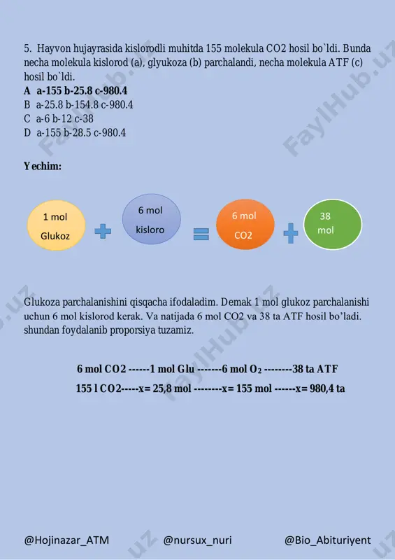 yechim 4 - Page 5