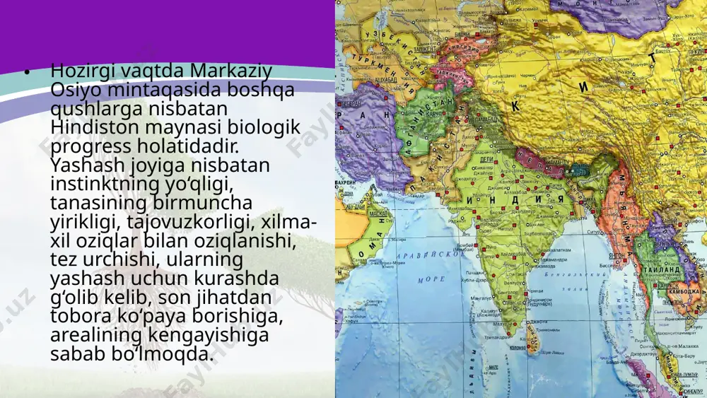 organik olam evolutsiyasining asosiy yo‘nalishlari. 10 - sinf - Page 5