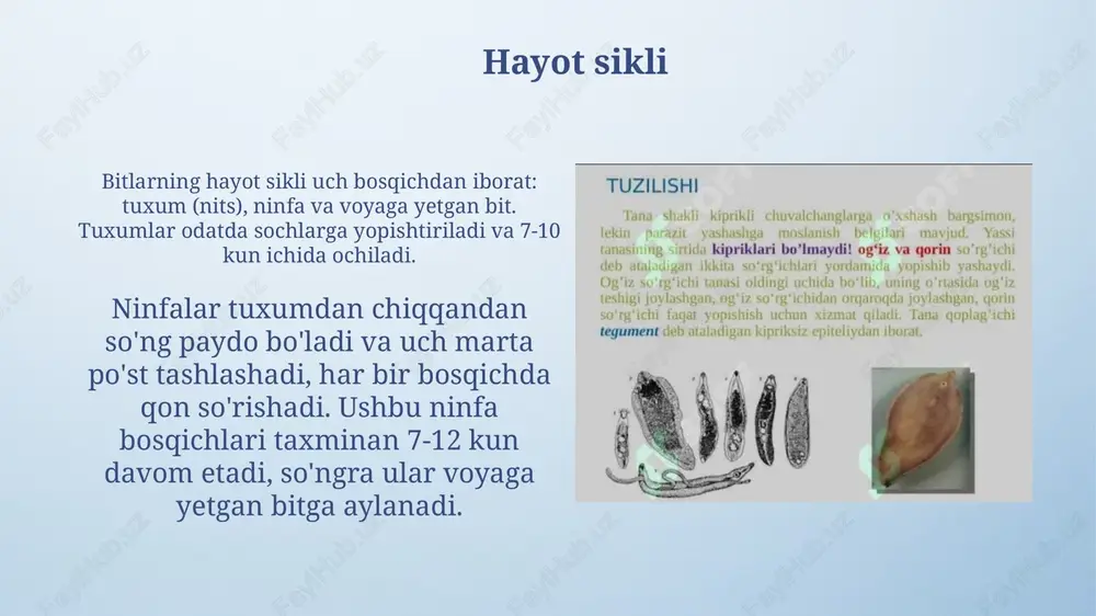 sorgichlilar -odam parazitlari - Page 6