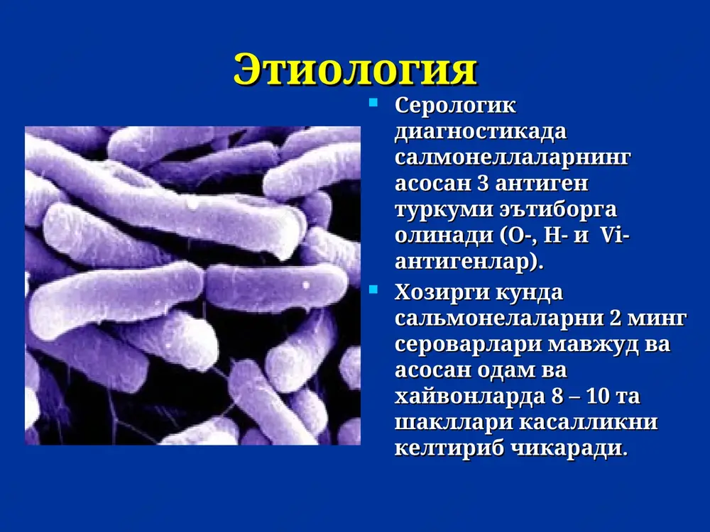remya ot zarajeniya do klinicheskix proyavleniy variruet pri kajdoy forme botulizma. dlya ranevogo botulizma, inkubatsionniy period sostavlyaet ot 4 do 14 dney, dlya ingalyatsionnogo botulizma inkubatsionniy period sostavlyaet ot 24 do 72 chasov, dlya pishevogo botulizma, inkubatsionniy period obichno sostavlyaet ot 18 do 36 chasov xotya mojet kolebatsya ot 2 chasov to 8 dney. dlitelnost inkubatsii napryamuyu svyazana ot kolichestva toksina i individualnoy chuvstvitelnosti k nemu. bolezn obichno nachinaetsya s yavleniy narusheniya cherepno-mozgovix nervov i zatem progressiruet k mishechnoy slabosti. klinika oit shikastlanish simptomlari: ogiz kurishi, kungil aynish, kusish, ich ketish, korin shishi, epigastral soxada ogriklar. kurishni buzilishi. kuz oldida «tuman», setka paydo bulishi. midriaz. yutishni buzilishi. salivatsiyani buzilishi, ogiz shillik kavatni kurishi va kizarishi, yumshik talakni xarakatlanishi kamayishi va tomok refleksini pasayishi. intoksikatsiya belgilari. miya nervlarini shikastlanishini klinik kurinishlari: kurishni xiralashishi, uzokni kurmaslik kuzda ikkilanish ptoz ogiz kurishi yutish buzilishi nutkni buzilishi yuzni amimiyasi * klinicheskie proyavleniya narusheniy cherepno-mozgovix …
