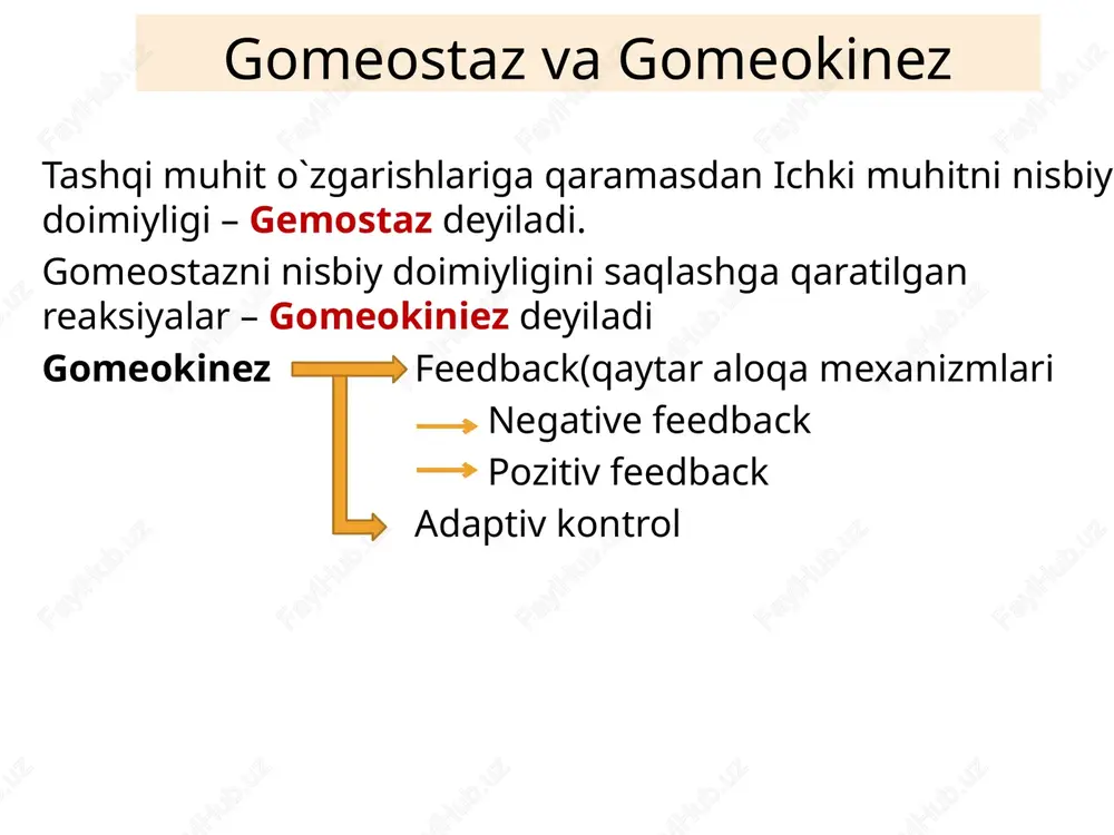 gistogematik baryer - Page 6