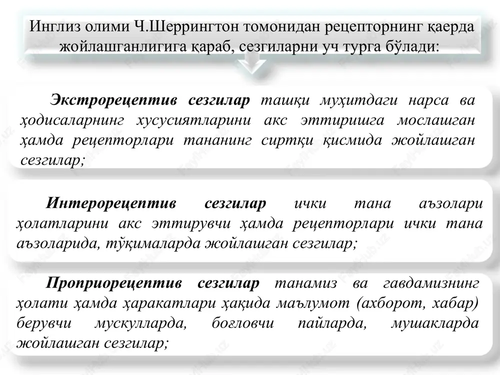 bilish jarayonlari va uning bosqichlari - Page 6