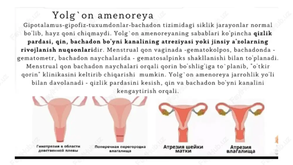 amenoreya - Page 6