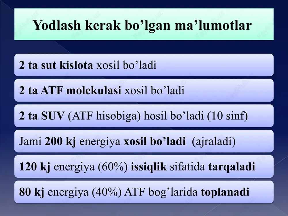 energiya almashinuvi gadoir masala echish metodikasi - Page 6