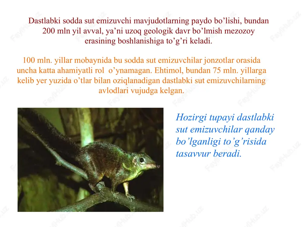antropogenez jarayonlari - Page 6