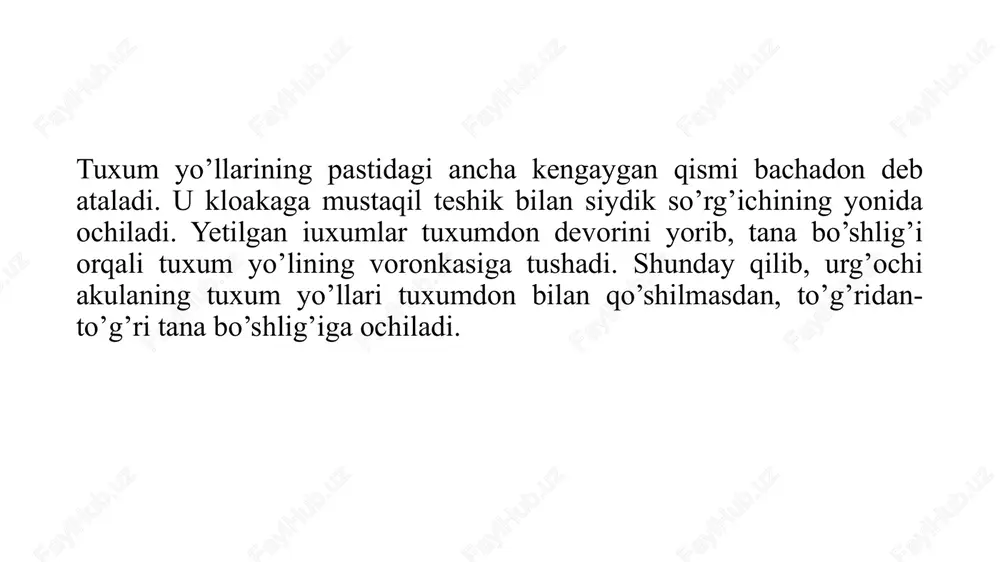jinsiy tizimi, baliqlarning rivojlanishi. nerv tizimi va sezgi a’zolari - Page 6