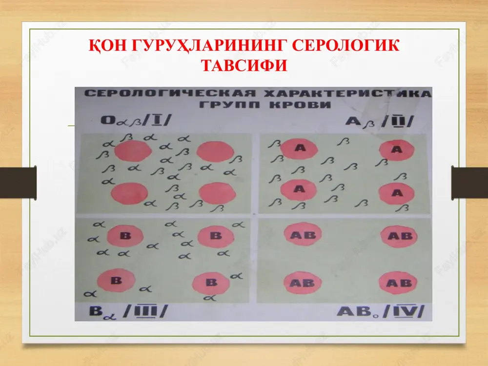 qon va qon o'rnini bosuvchi suyuqliklarquyish. donorlik - Page 6