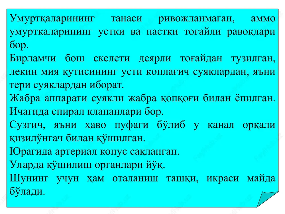 agi, 7–radialiyalar, 8–teri suyak shu'lalar. zog'ora baliqning chanoq kamari va qorin suzgich qanotlari: 1 – chanoq suyaklari, 2 – teri suyak shu'lalari. suyakli baliqlarning gomotserkal dum suzgichi sxemasi: 1 – dum umurtqasi, 2 – dum suzgich shu'lalari. suyakli baliqlarda terisining ostida suyaklarga birlashgan muskullari joylashgan. eng kuchli muskullari tana bo'ylab umurtqalar yonida joylashgan bo'ladi. suyakli baliqlarning muskullari ham xuddi minogalarnikidek to'g'ri segmentli bo'lib, biriktiruvchi to'qima miosepta bilan bir-biridan ajralgan miomerlardan iborat. bu muskullarning qisqarishi va bo'shashishi natijasida baliq tanasini goh o'ngga va goh chapga egadi, natijada suvda harakatlanishiga yordam beradi. boshini, suzgich qanotlarini, jag'larini, jabra qopqoqlarini harakatga keltiradigan alohida differentsiyallashgan muskullari mavjud. ko'z, jabrausti, jabraosti va juft suzgich qanotlar muskullari, hazm qilish nayini o'rab turgan vistseral muskullar silliq muskullar hisoblanadi. jabra va jag' yoyidagi silliq muskul tolalari ko'ndalang-targ'il muskul tolalar bilan almashinadi. muskullari muskul tuzilishi suyakli baliqlarning oziq tutishida, asosan ikkilamchi jag' ishtirok etadi. suyakli baliqlarning ko'pchiligida tishlari yaxshi rivojlangan …