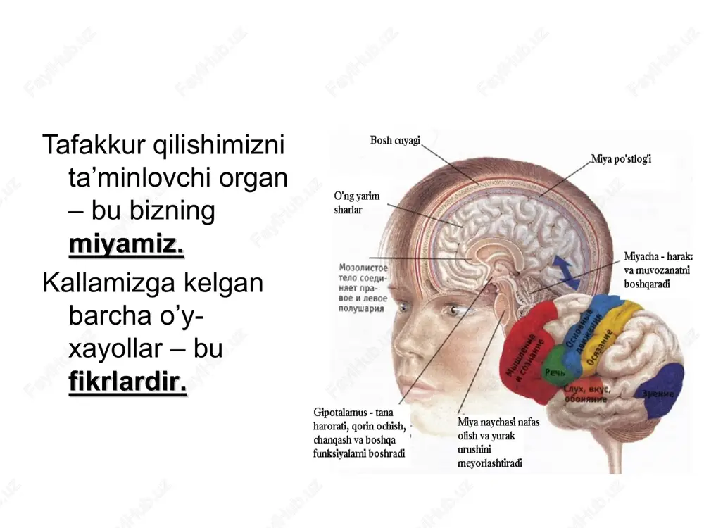tafakkur - Page 6