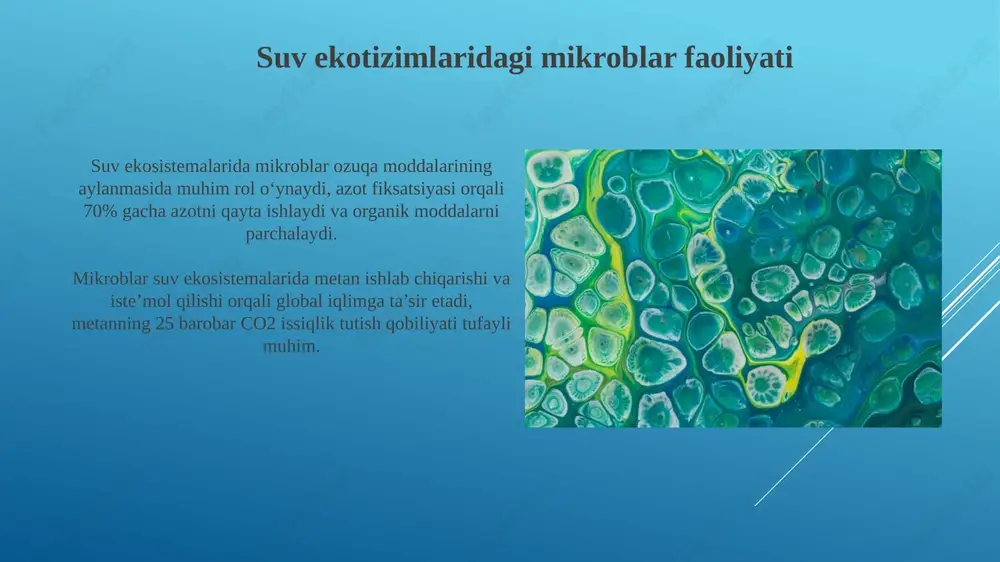 mikroorganizmlarning ekologiyasi - Page 6