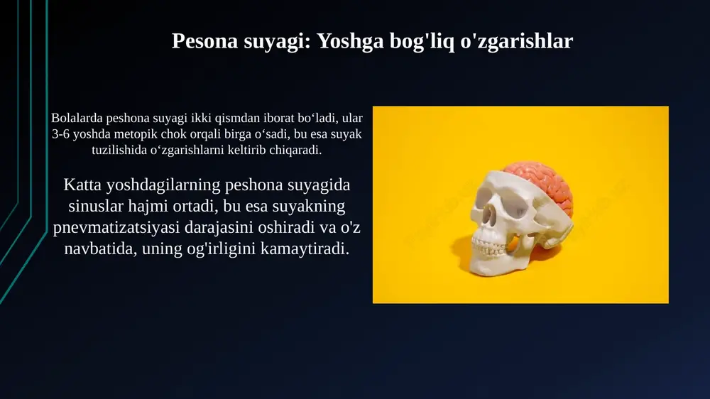 peshana, tepa, g'alvirsimon suyaklar va ularning yoshga doir xususiyatlari - Page 6