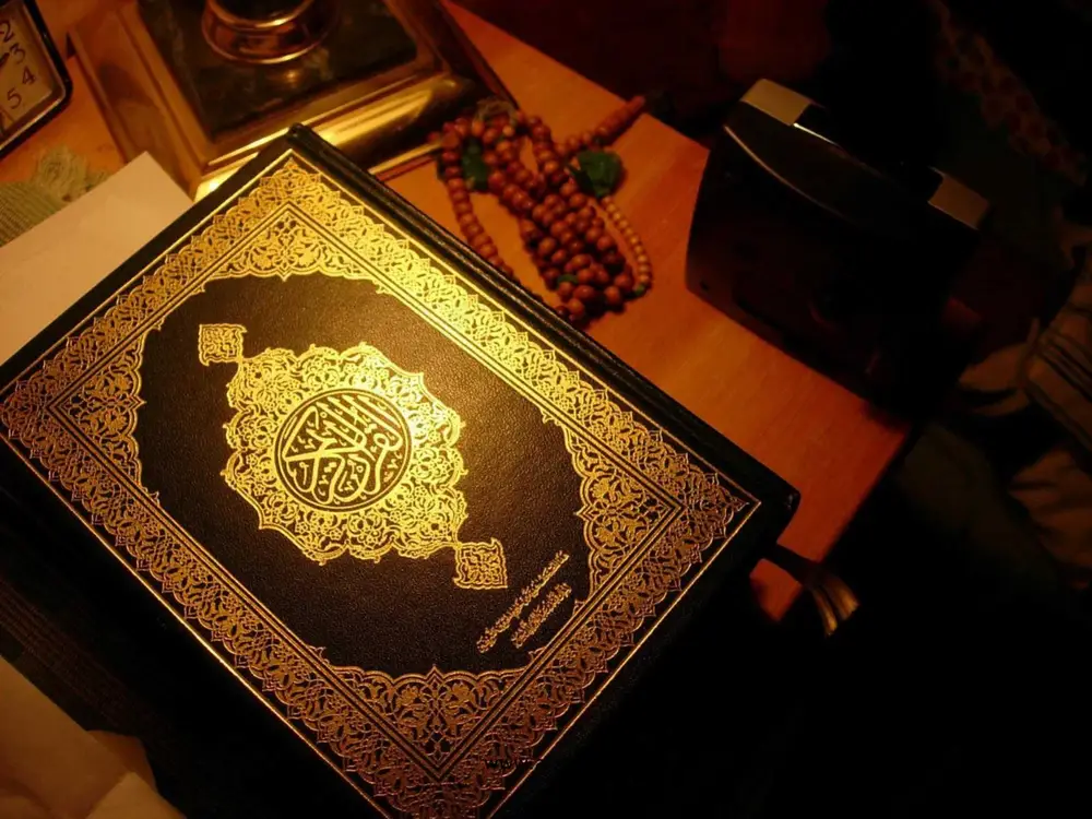 n bo’lgan. bunda ajdodlarimiz dunyoqarashida juda qadimdan boshlab tolerantlik namoyon bo’lganligini ko’rishimiz mumkin. dinimiz islomning muqaddas kitobi bo’lmish qur’oni karimning oltita surasida ham bu mazmundagi oyatlarga duch kelamiz. misol tariqasida ayrimlari xususida tuxtalib o’taylik, “dinga zo’rlab (kiritish) yo’qldir. (zero) haq yo’l zalolatdan ajrab bo’ldi. bas, kim shaytondan yuz o’girib, allohga iymon keltirsa, u hech ajrab ketmaydigan mustahkam halqani ushlabdi. ollah eshituvchi, bilguvchidir”. www.arxiv.uz www.arxiv.uz www.arxiv.uz www.arxiv.uz “(ey muxammad), agar mushriklardan birontasi sizdan ximoya so’rasa, bas, uni ximoya qiling, toki u allohning kalomini eshitsin. so’ng uni o’zi uchun tinch bo’lgan joyga yetkazib qo’ying. bu (hukm) ularninig bilmaydigan qavm bo’lganlari uchundir.” (9:6 ). ma’lumki, islom dini targ’ib etilib, mushriklar (ya’ni allohga shirk keltirib, turli narsalarni ilohiylashtirib sig’inuvchilar)ga qarshi jangu –jadallar bo’lgan. bu oyatda islom dinini tushunmaganligi uchun mushrik bo’lganlarga nisbatan kechirimli bo’lish haqida aytiladi. mushriklar ka’ba atrofiga xilma-xil butlarini qo’yib, har safar ka’bani tavof etganlaridan kiyin haligi butlarga sajda qilar edilar. mushriklar …