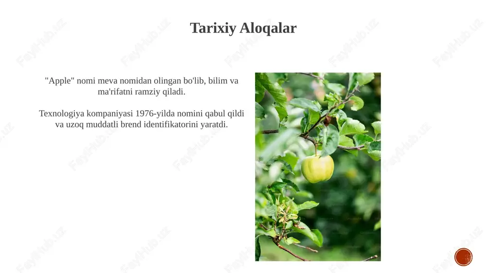 apple - Page 6