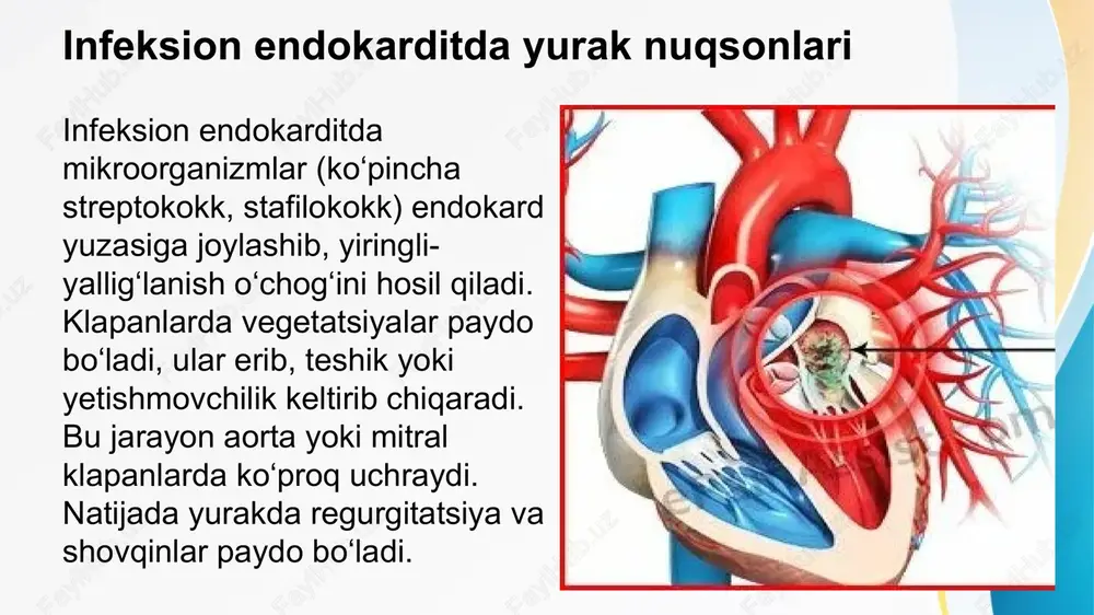 yurak nuqsonlarining rivojlanish sabablari - Page 6