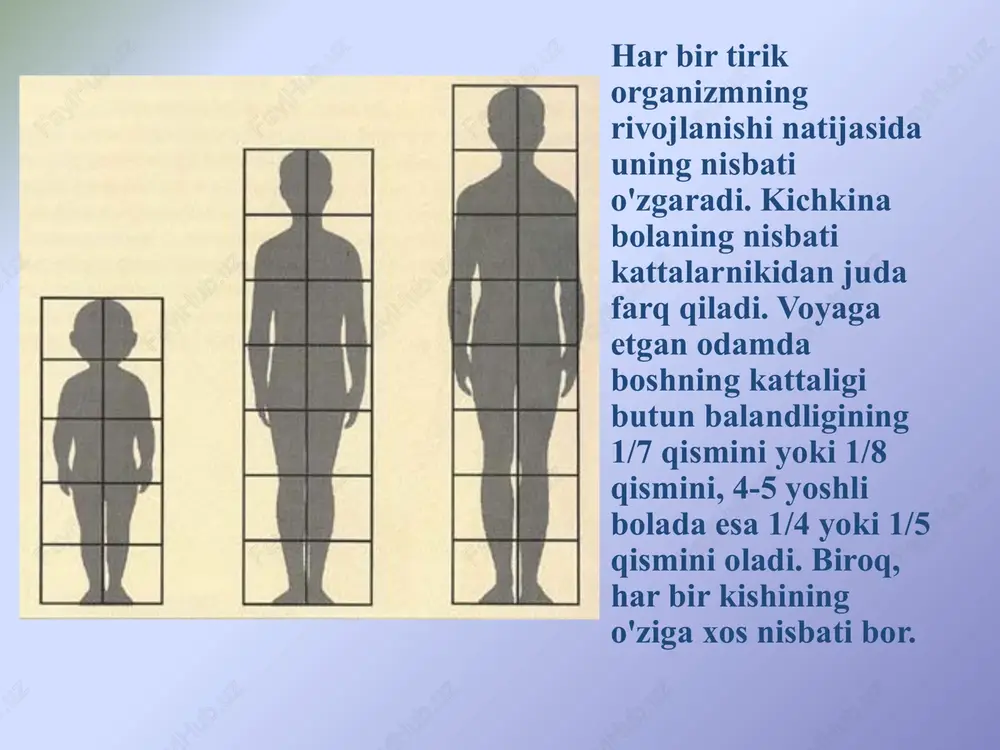 odam gavdasini dinamik holatda ishlash - Page 6