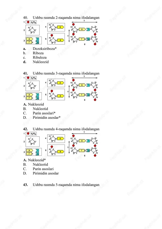 degidrogenaza 65.katabolizm nechta bosqichda kechadi? a. 3 ta b. 4 ta c. 5 ta d 6 ta 66. metabolizimning oxirgi mahsulotlari? a. karbonat angidrid, suv ammiak, siydikchil, kreatinin, siydik kislota b. karbonat angidrid, siydik kislota, atf, suv c. kreatin, ammoniy gidroksid, siydik kislota, glitsin d karbonat angidrid, xolesterin, ammiak, suv 67. moddalar almashinuvini bosqichlari? a. assimilyasiya va dissimilyasiya b. dissimilyasiya va katabolizm c. assimilyasiya va anabolizm d transkripsiya, translyasiya, replikatsiya 68. metabolizmning vazifasi? a. organizmning energetik va plastik ehtiyojlarini qoplash b. organizmning ko‘payishi c. organizmning dam olishi d. organizmning aqliy faoliyati 69. anabolizmning vazifasi bu … a. organizmning plastik ehtiyojlarini qoplash b. organizmning energetik ehtiyojlarini qoplash c. organizmning ehtiyojlarini qoplamaslik d. oziq moddalarning parchalanishi 70. qonda kalsiy va fosfat kislota ionlarini idora ztadi: paratgormon* - usish gormoni - aktg - adrenalin 71. sitrat utkazadi: kalsiyni kondan suyak to’qimasiga* · kalsiyni suyak to’qimasidan konga · kaliyni kondan suyak to‘qimasiga · fosforni …