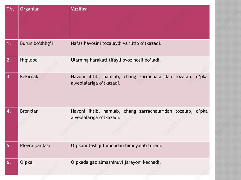 ovqat hazm qilish organlari - Page 6