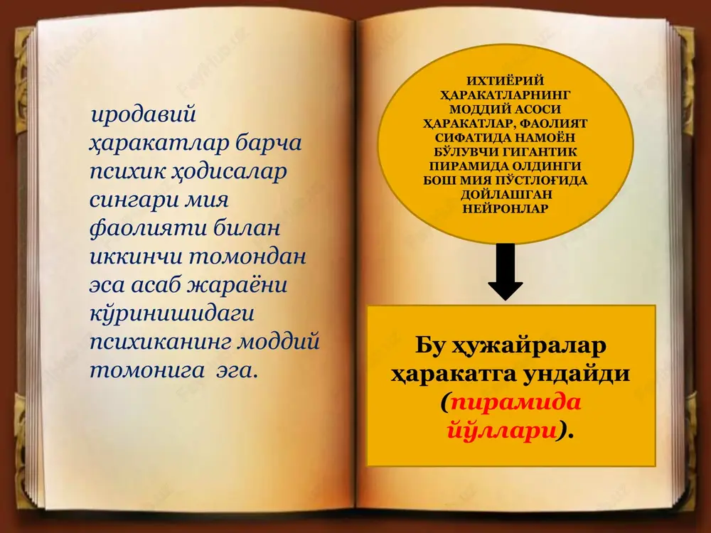 umumiy psixologiya - Page 6