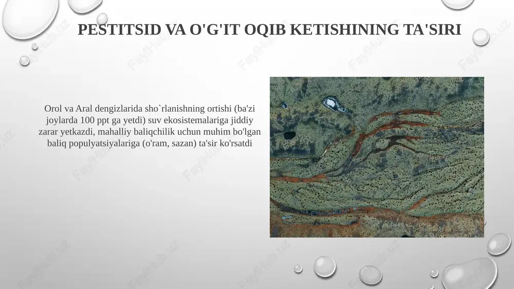 orol va orolboʻyi ekologiyisi - Page 6