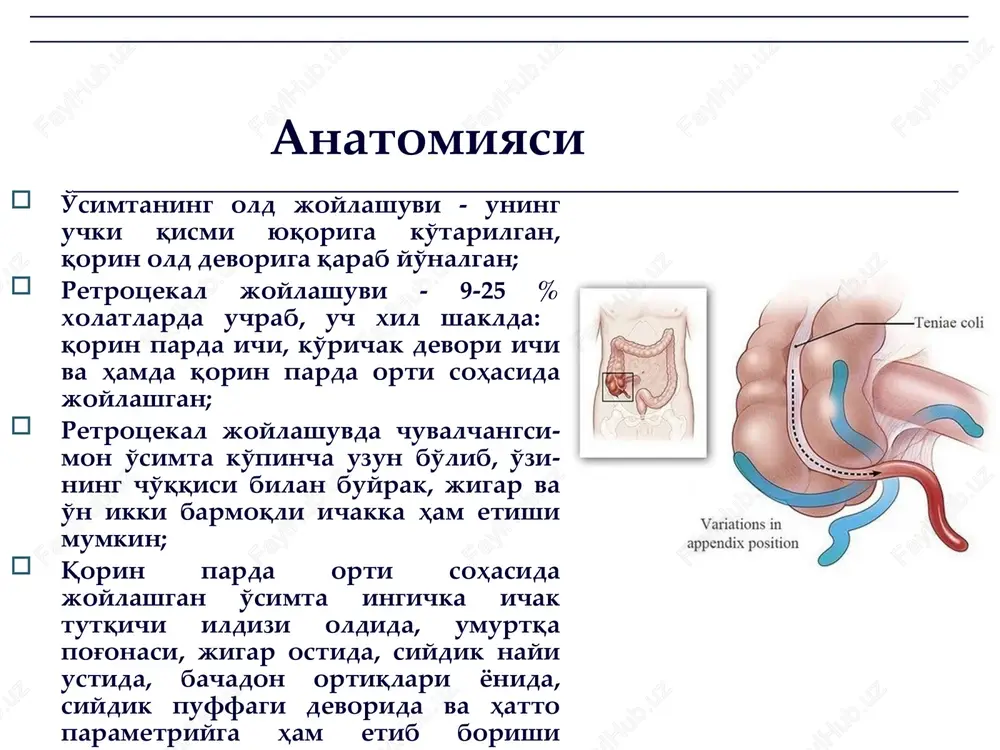 ektomiya laparoskopik appendektomiya laparoskopik appendektomiya laparoskopik appendektomiya robot-assistent appendektomiya translyuminal appendektomiya amaliyotdan keyingi davr tasnifi 1. joylashgan o'rniga ko'ra: a) amaliyot jarohati tomonidan: - gematoma - amaliyot jarohat sohasi infektsiyasi (infiltrat, abstsess va x.k.) - ligaturali oqma. b) intraabdominal asoratlar: - appendikulyar infiltrat - qorin bo'shlig'i lokal abstsesslari (periappendikulyar, kichik chanoq, diafragma osti, ichaklararo) - chegaralanmagan peritonit - pileflebit, sepsis v) ekstraabdominal asoratlar: - nozokomial pnevmoniya - o'pka arteriyasi tromboemboliyasi va boshqalar. o'tkir appenditsit asoratlari appendikulyar infiltrat intraabdominal abstsesslar periappendikulyar abstsess appendikulyar peritonit pileflebit, sepsis e'tiboringiz uchun rahmat! image1.jpg image2.jpg image3.jpg image4.jpg image5.jpg image6.jpg image7.jpg image8.jpg image9.jpg image10.png image11.jpg image12.jpg image13.jpg image14.jpg image15.jpg image16.jpg image17.jpg image18.jpg image19.jpg image20.jpg image21.jpg image22.jpg image23.jpg image24.jpg image25.jpg image26.jpg image27.jpg image28.jpg image29.jpg image30.jpg image31.jpg image32.png image33.jpg image34.jpg image35.jpg image36.jpg image37.jpg image38.jpg image39.jpg image40.jpg image41.jpg image42.jpg image43.jpg image44.jpg image45.jpg image46.jpg image47.jpg image48.jpg image49.jpg image50.png image51.jpg image52.jpg image53.jpg image54.jpg image55.png image56.jpg image57.jpg image58.png image59.jpg image60.jpg image61.jpg image62.jpg …