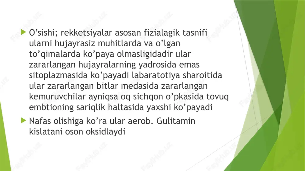 rekketsiyalar - Page 6