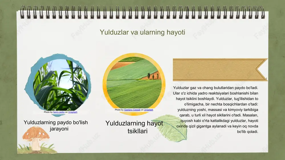 alarning o'ziga xos xususiyatlari sayyoralar atmosferasi va harorati mars va yupiter misollari yerdan tashqari sayyoralar o'ziga xos atmosferaga va haroratga ega. masalan, marsning qizil toshlari, yupiterning katta bulutli atmosferasi va kuchli shamollari mavjud. har bir sayyoraning yuzasi o'ziga xos xususiyatlarga ega bo'lib, ularning o'rganilishi kosmosda hayot izlashda muhimdir. photo by gaetano cessati on unsplash photo by henry perks on unsplash / sayyora orbitalari va ularning ta'siri sayyoralarning orbitallari elliptik shaklda bo'lib, ularning tezligi va masofasi harakatni belgilaydi. orbitalar orasidagi bog'lanishlar va ularning o'zaro ta'siri sayyoralarning orbitada joylashuvi va harakatini aniqlaydi. misol uchun, yer va boshqa sayyoralar orbitasi ularning gravitatsiyaviy kuchlari va orbital tezliklari bilan bog'liq. bu jarayon sayyoralarning bir-biriga ta'sir qilishini, masalan, tortishish kuchlari orqali yuzaga keladigan orbital o'zgarishlarni belgilaydi. elliptik orbitalar tezlik va masofa photo by markus spiske on unsplash photo by adele payman on unsplash quyosh tizimining kelajagi quyosh tizimining kelajagi va sayyoralar o'rtasidagi o'zaro aloqalar hozirgi kunda …