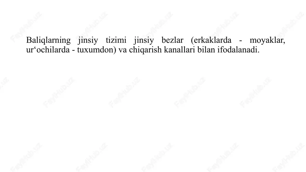 jinsiy tizimi, baliqlarning rivojlanishi. nerv tizimi va sezgi a’zolari - Page 7
