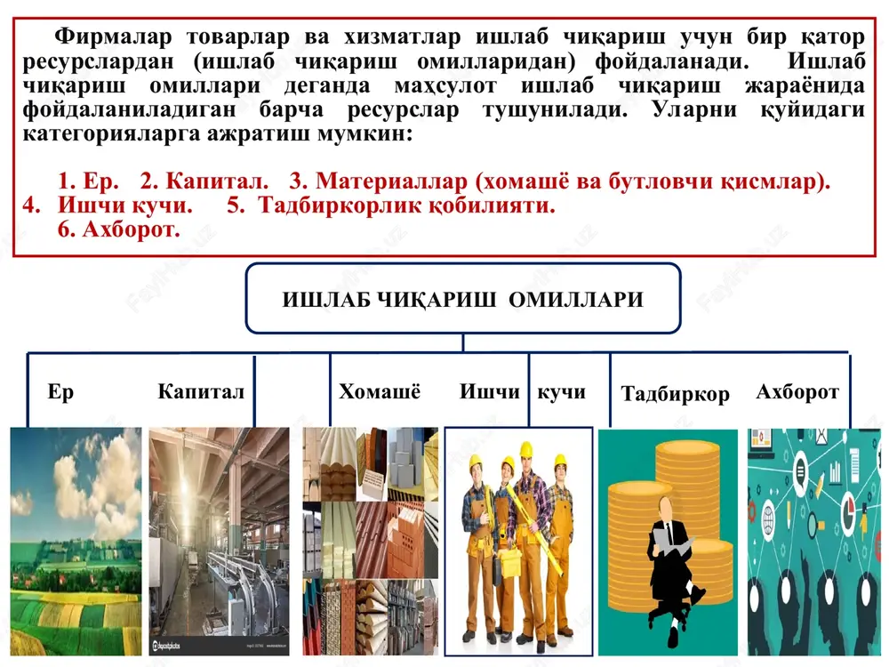 firma va ularning tashkiliy-iqtisodiy asoslari - Page 7