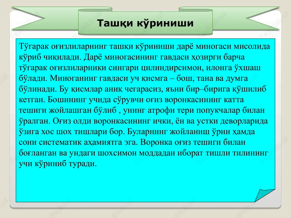 chiqadi. lichinkalar mikroskopik suv o'tlari, mayda hayvonlar va organik qoldiqlar bilan oziqlanadi. lichinkasining boshskeletsizlarga o'xshash endostili bo'ladi. lichinka lantsetnik singari suv tubida qumga ko'milib yashaydi. uning tuzilishi va hayot kechirish xususiyatlari to'garak og'izlilarni boshskeletsizlardan kelib chiqqanligini ko'rsatadi. qumteshar voyaga etgan minogadan bir qator belgilari bilan farq qiladi, ya'ni ularda alohida nafas nayi bo'lmaydi, chunki halqum ichakning boshqa bo'laklaridan ajralmagan. jigari naysimon, miyasi birmuncha katta, ko'zlari murtak holda bo'lib, teri bilan to'la qoplangan. og'iz oldida so'rg'ich voronkasi bo'lmaydi, tishlari yo'q. og'zining oldi 2 ta lab bilan o'ralgan bo'ladi. rivojlanishi kumteshar to'garak og'izlilar sinfiga 45 taga yaqin tur kiradi va ular 2 ta kenja sinfga bo'linadi: minogalar – petromyzones va miksinalar – myxini . minogalar kenja sinfiga bitta minogasimonlar (petromyzoniformes) turkumi va bitta minogalar (petromyzonidae) oilasi kiradi. bu oilaning 7 ta avlodi va 24 ta turi ma'lum. minogalarda miksinalarga nisbatan parazitlik qilib hayot kechirish ancha kuchsiz tivojlangan, ya'ni ular chala parazitlar hisoblanadi. …