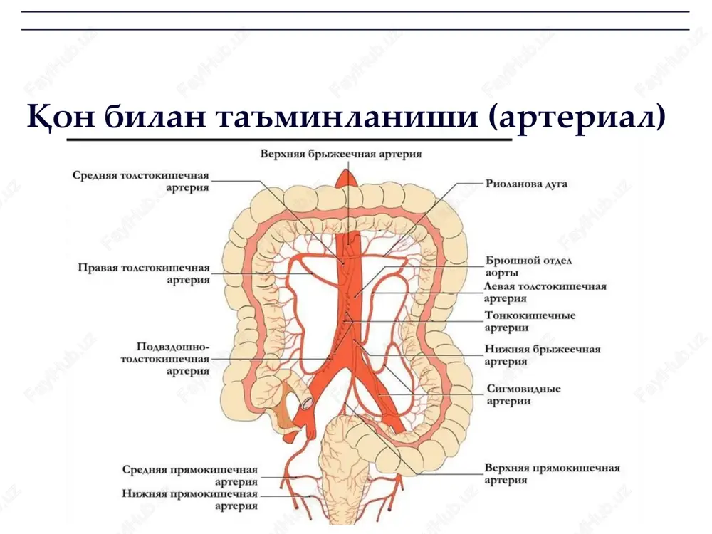 o'tkir appenditsit va uning asoratlari - Page 7