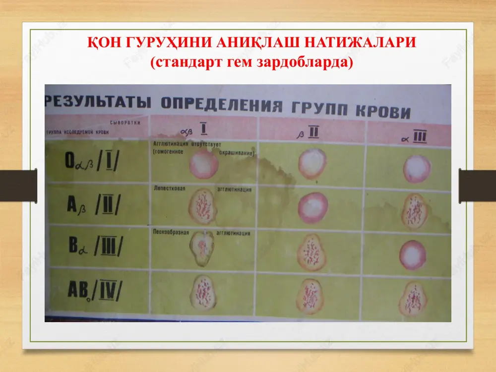 qon va qon o'rnini bosuvchi suyuqliklarquyish. donorlik - Page 8