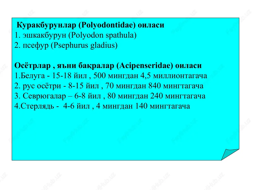nida epifiz, qorin tomonida esa gipofiz joylashgan. ko'rish nervlari kesishib, xiazma hosil qiladi. suyakli baliqlarda o'rta miya va miyacha nisbatan katta, yaxshi rivojlangan. oraliq miya katta yarimshar tomonidan berkitilgan. uzunchoq miya asta-sekinlik bilan orqa miyaga qo'shilib ketadi. bosh miyadan 10 juft bosh miya nervlari chiqadi. orqa miya tuzilishi bilan tog'ayli ba-liqlarnikiga o'xshash bo'ladi. umuman olganda, baliqlar va barcha umurtqali hayvonlar bosh miyasining barcha bo'limlari, hayvonlar hayotida muhim ahamiyatga ega. masalan: miyacha baliqlar harakatini, uzunchoq miya nafas olish, qon aylanish, hazm qilish organlari ishini boshqaradi. nerv sistemasi va sezgi organlari nerv sistemasi suyakli baliqlarda ham ayirish organi vazifasini bir juft uzun tasmasimon shakldagi tana, ya'ni mezanefros buyrak bajaradi va u qorin pardasi ostida umurtqa pog'onasining ikki yonida joylashgan. farqi shundaki, suyakli baliqlarning ayirish sistemasi jinsiy organlari bilan bog'liq emas. uzun to'q-qizg'ish rangdagi bir juft tana bo'yragi (mezanefros) baliklar gavda bo'shlig'ining boshidan oxirigacha cho'zilgan bo'lib, suzgich pufagining ustida, umurtqalarining ikki yonida turadi. …