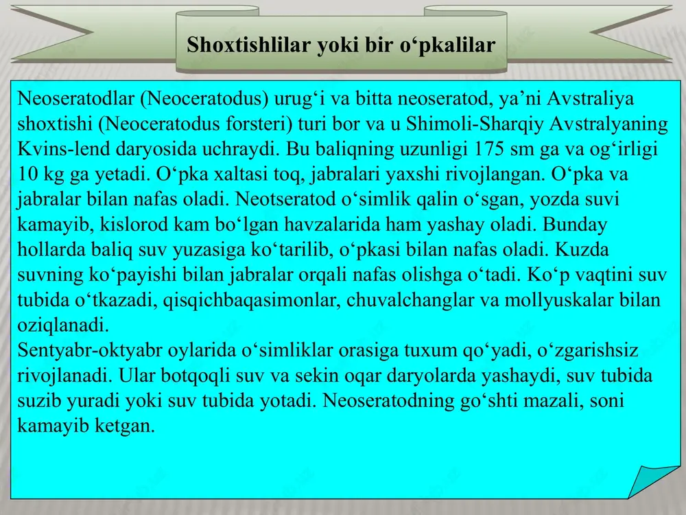suyakli baliqlar - Page 8