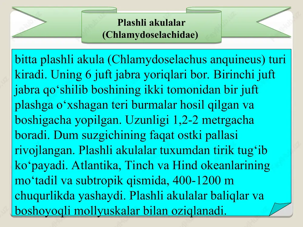 ngiz ajinasi deb ham aytiladi. dengiz shaytonlari, ya’ni dengiz ajinalarining kengligi, suzgich qanotlari bilan hisoblaganda har xil, 1 m dan 4-7 m gacha boradi. og‘irligi esa 1,5-2 tonnagacha boradi. dengiz ajinalari (mobulidae) oilasi manta birostris manta birostris yaxlitboshlilar yoki ximeralar kenja sinfining bitta ximerasimonlar (chimaeriformes) tukumi, 3 ta oilasi va 33 ta turi bor. ular plastinkajabralilar kenja sinfining vakillaridan ancha farq qiladi. yaxlitboshlilar 2500 metrgacha bo‘lgan chuqur suvlarda yashaydi. gavdasi duksimon va dum tomoniga qarab ingichkalashib boradi. uzunligi 60 sm dan 1,5-2 m gacha. ularning tanglay-kvadrat tog‘ayi yaxlit bo‘lib miya qutisiga qo‘shilib ketgan, shuning uchun ham yaxlitboshlilar deyiladi. ximeralarning jabra yoriqlarini berkitib turadigan teri pardasi bor. ularning kloakasi yo‘q, chunki siydik-tanosil teshigi bilan anal teshiklari alohida-alohida bo‘ladi. qalin plastinkaga o‘xshagan oz miqdordagi tishlari mavjud, xordasi ham yaxshi rivojlangan. yaxlitboshlilar yoki ximeralar (holocephali) kenja sinfi chimaera monstrosa chimaera monstrosa chimaera monstrosa baliqlarning, shu jumladan tog‘ayli baliqlarning tabiatda va inson hayotida ahamiyati …