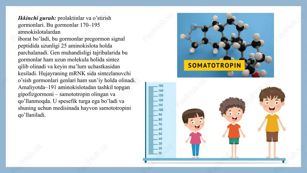 nib yaratilgan mikroorganizmlar yordamida ishlab chiqarilmoqda. mana shunday preparatlardan eng muhimlarini ko’rib chiqamiz. insulin - oshqozon osti bezining langergans orolining beta-hujayrasida sintez bo’lib, qondagi shakar miqdorining 1% atrofida saqlab turishga xizmat qiladi. shakar miqdorini bunday oshib yoki kamayib ketishi juda og’ir xastaliklarni kelib chiqishiga olib keladi. jumladan qondagi shakar miqdorining oshib ketishi, qandli diabet kasaligini keltirib chiqaradi. oqsil muxandisligi usullaridan foydalanib, insulinni sintez qiluvchi achitqi zamburg’ining shtammlari yaratilgan. shu yo’l bilan dunyoning birqancha mamlakatlarining har xil firmalarida gen -muxandislik insulini tayyorlash yo’lga qo’yilgan. bu yangi biotexnologiyani yaratilishi dunyo bozorida insulinni narxining pasayib ketishiga olib keldi va yaqin kelajakda bu preparatga bo’lgan muhtojlik butunlay tugatiladi. o’stirish garmoni. bu gormon organizmda gipofiz bezining oldi qismi hujayralarida sintez bo’ladi. e’tibor qiling, gipofiz bezining bu qismining og’irligi 0,1 grammdan kamroq bo’lib, uning ham bir qismigina shu gormonni ishlab chiqarishga xizmat qiladi. bu gormonni ilgarilari odamlarni (o’lik odamlarni) gipofizidan ajratib olishgan. hozirgi paytda bu gormonni …